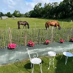 Entre Terre Et